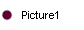 Picture1