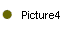 Picture4